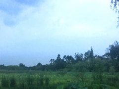 -三圣花乡旅游区