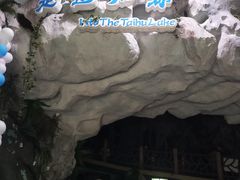 -苏州海洋馆