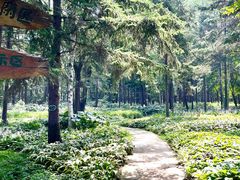 -沈阳植物园
