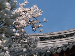 -龙华寺