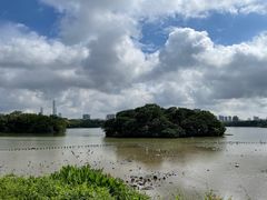 -海珠湖公园