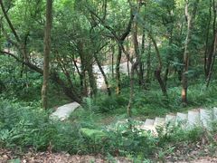 -中山市树木园
