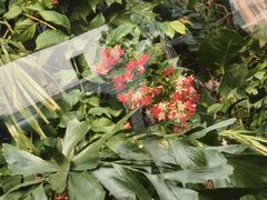 -宫燕府·京菜·烤鸭·淮扬菜(王府中心店)