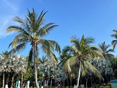 -三亚蜈支洲岛旅游区