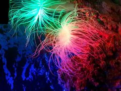 android_upload_pic-郑州海洋馆