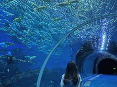 -波塞冬旅游度假区