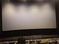 -百美汇影城(LUXE嘉里中心店)