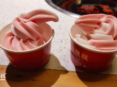 -大龙燚火锅