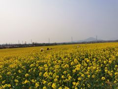 -西海岸生态观光园