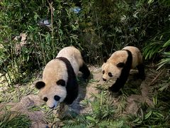 -武汉园博园(武汉自然博物馆)