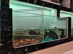 -草鱼先生潮州鱼生·虾生(新厦花园店)