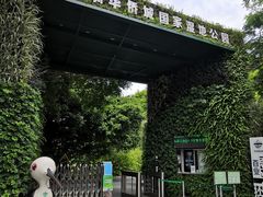 -华侨城湿地公园