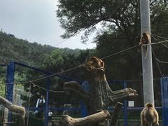 -大连森林动物园