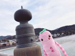 -中村藤吉(本店)