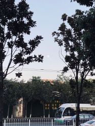 -一美医疗美容
