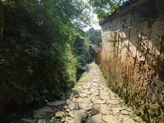 -杨家堂村