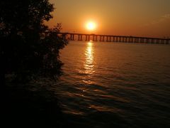 -宝安西湾红树林湿地公园