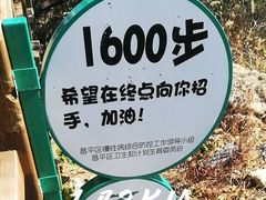 -大岭沟猕猴桃谷风景区