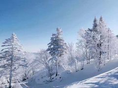-亚布力新体委滑雪场