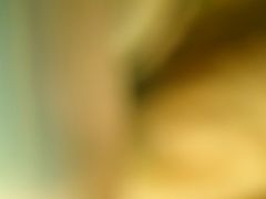 -灶丰年间(定安路店)