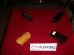 -上海昆虫博物馆