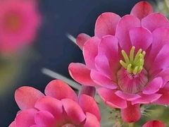 -兰陵国家农业公园