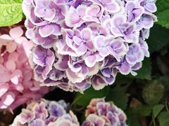 -常州古运河南大街文化旅游区-人民公园