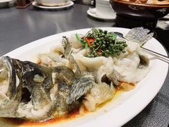 青花椒蒸龙胆鱼-闽和南(深圳万象城店)