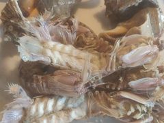 -九月海·海鲜自助(世纪东方店)