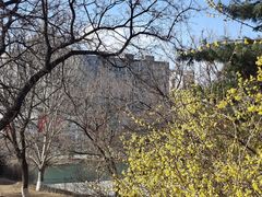 -二一九公园