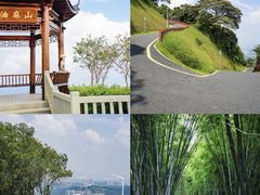 -广州市白云山风景名胜区