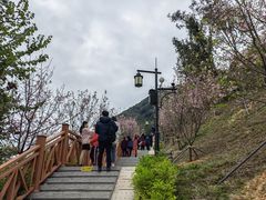 -小南山公园