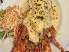 -Red Lobster