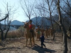 -楠溪江风景名胜区