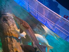 -沈阳海洋探索中心