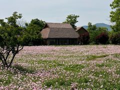 -良渚古城遗址公园