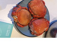 -喜庭海鲜自助(深圳万丰海岸城店)