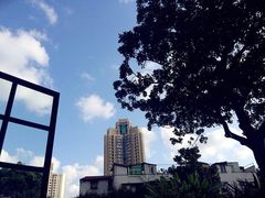 -大可堂普洱茶馆(襄阳南路馆)