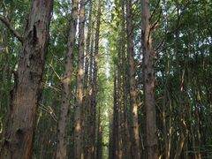 -同里国家湿地公园