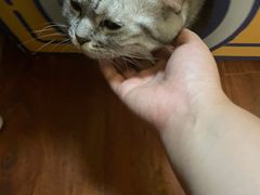 -H立方实景剧情密室(天河旗舰店)