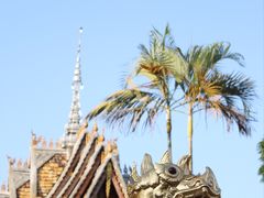 -西双版纳傣族园