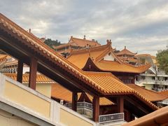 -深圳仙湖植物园