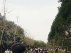 -蜀冈西峰生态公园