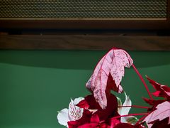 -SeekSeeking咖啡专门店(堰塘街店)