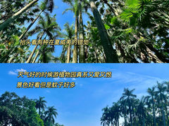 -中国科学院华南植物园