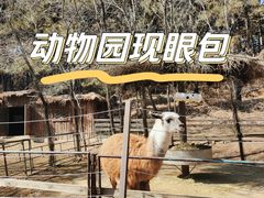-沈阳森林动物园