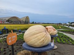 -中国天府农业博览园