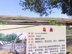 -青藏高原野生动物园
