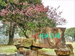 -无锡梅园公园