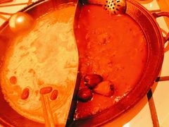 -朱光玉火锅馆(正弘城店)